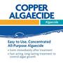 Copper Algaecide- 1 qt. Bottle