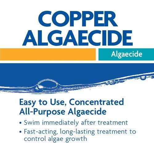 Leslie's Copper Algaecide 1 qt. Bottle Leslie's Pool Supplies