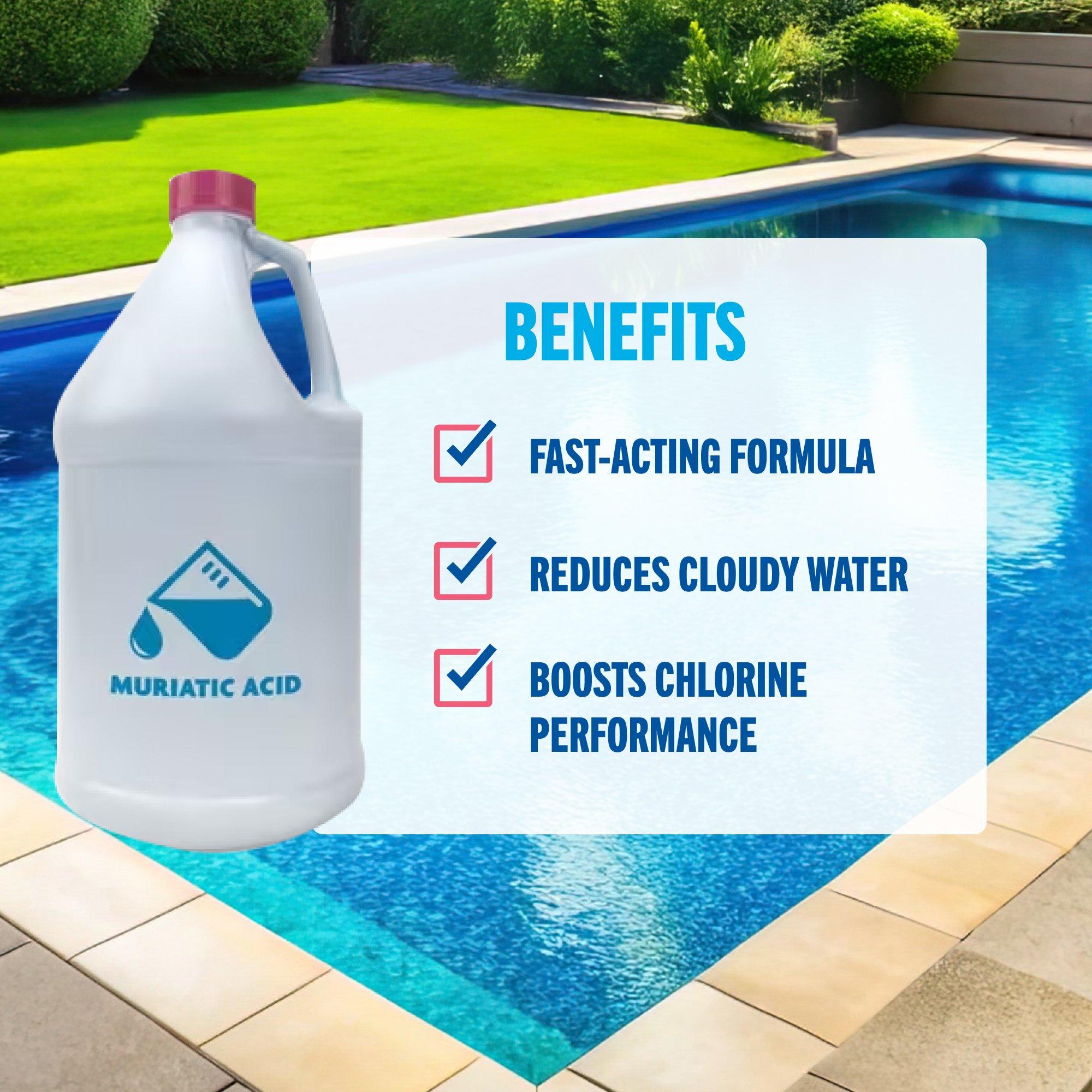 Muriatic Acid 2-Pack of 1 Gallon Bottles