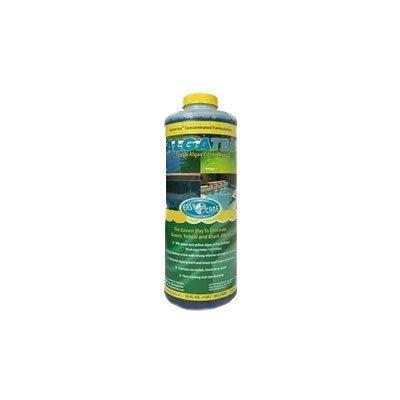 AlgaTec Pool Algaecide & Clarifier, 1 qt