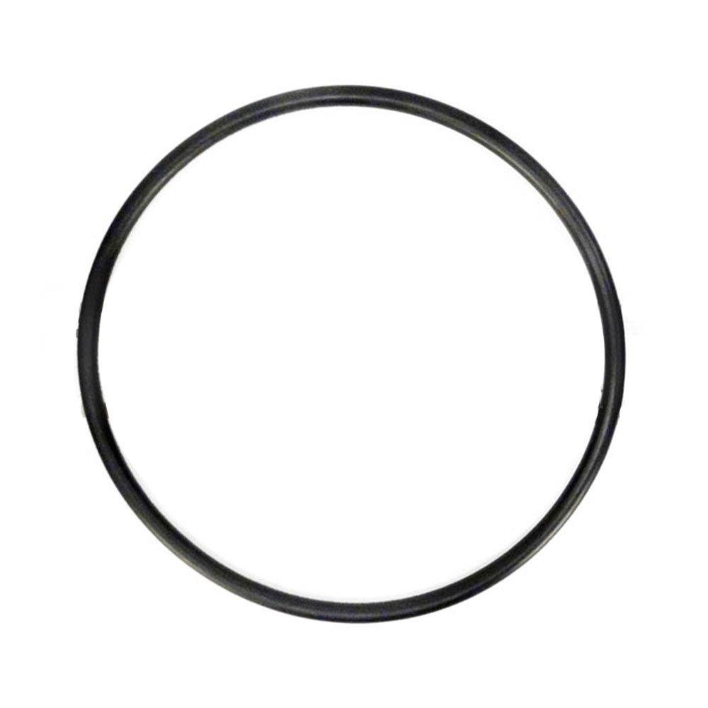 Pentair  219001Z Lid O-Ring for LeafVac