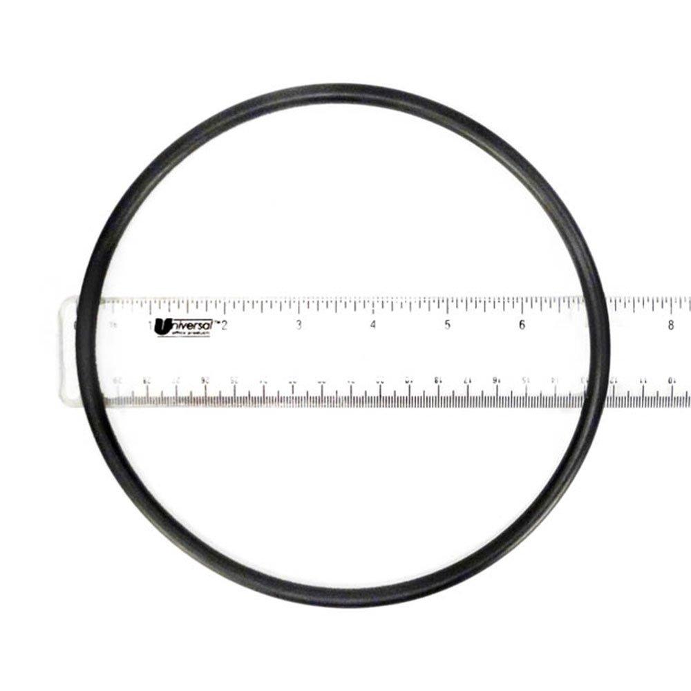 Pentair 219001Z Lid O-Ring for LeafVac | Leslie's Pool Supplies