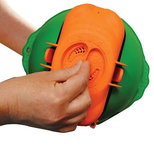 Flippin' FROG XL Floating Chlorine Sanitizer In The Swim