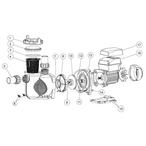 Raypak  Protege RPVSP1 Variable Speed Pool Pump Parts