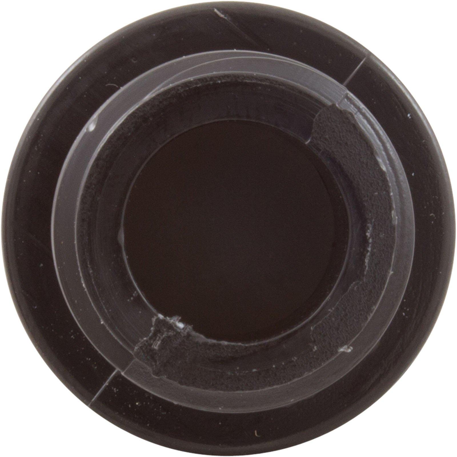 Pentair  Rainbow 320 Automatic Feeder Check Valve 1/2 in
