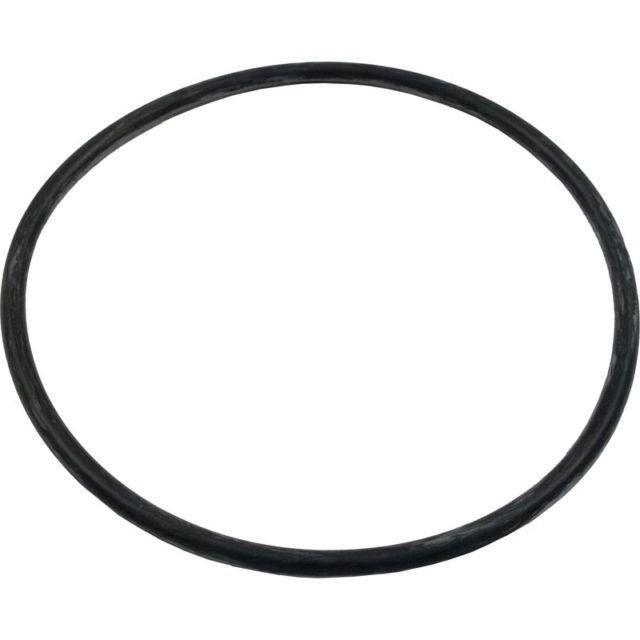 Pentair  O-Ring Lid (New Style 39300600Z