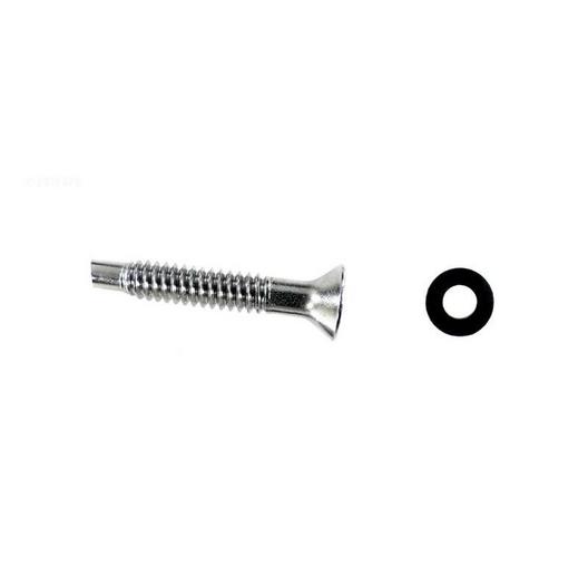Pentair  Screw for SS Face Plate