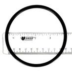 Pentair  R172009Z Replacement O-Ring for Rainbow Automatic Chemical Feeder Lid