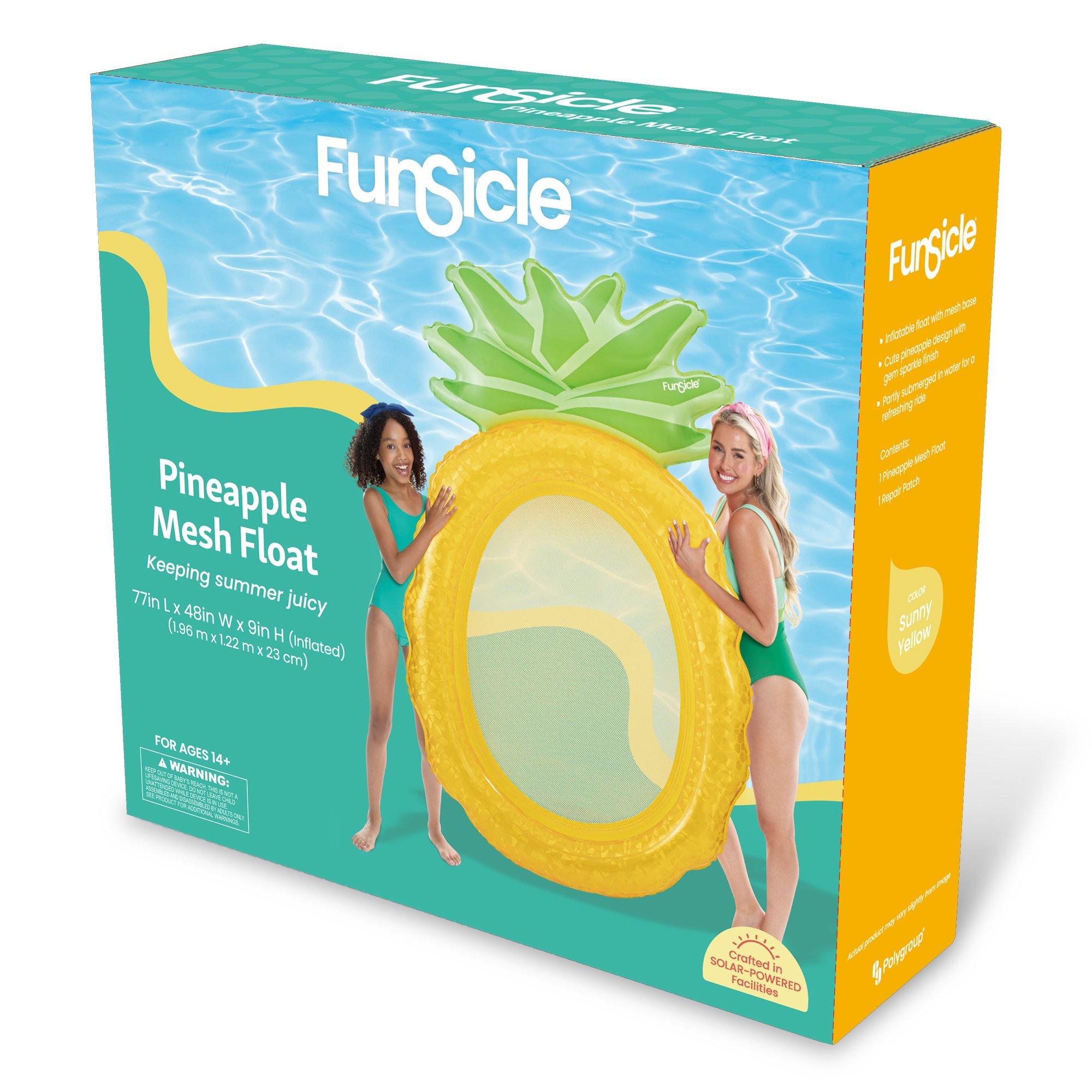 Funsicle  Pineapple Mesh Float