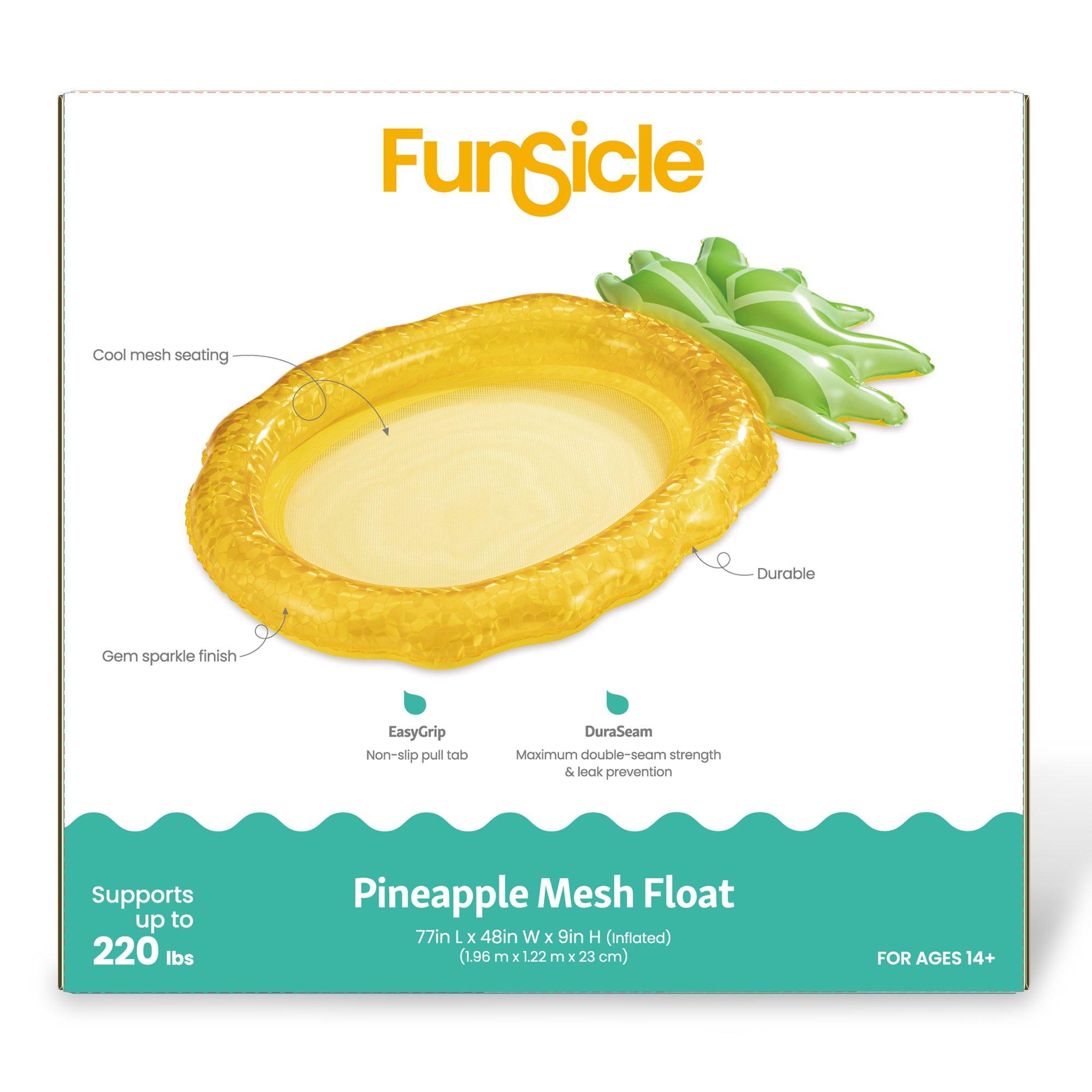 Funsicle  Pineapple Mesh Float