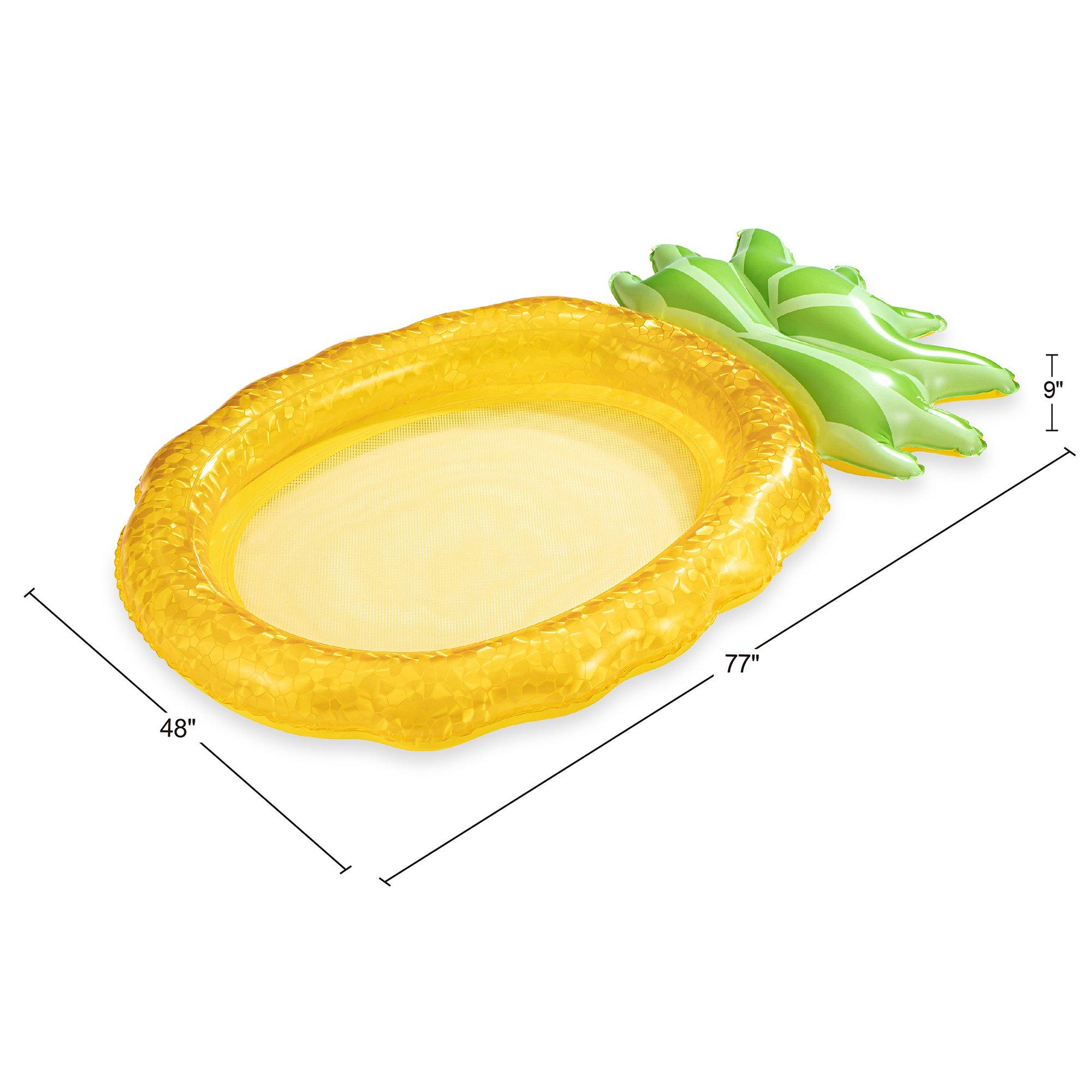 Funsicle  Pineapple Mesh Float