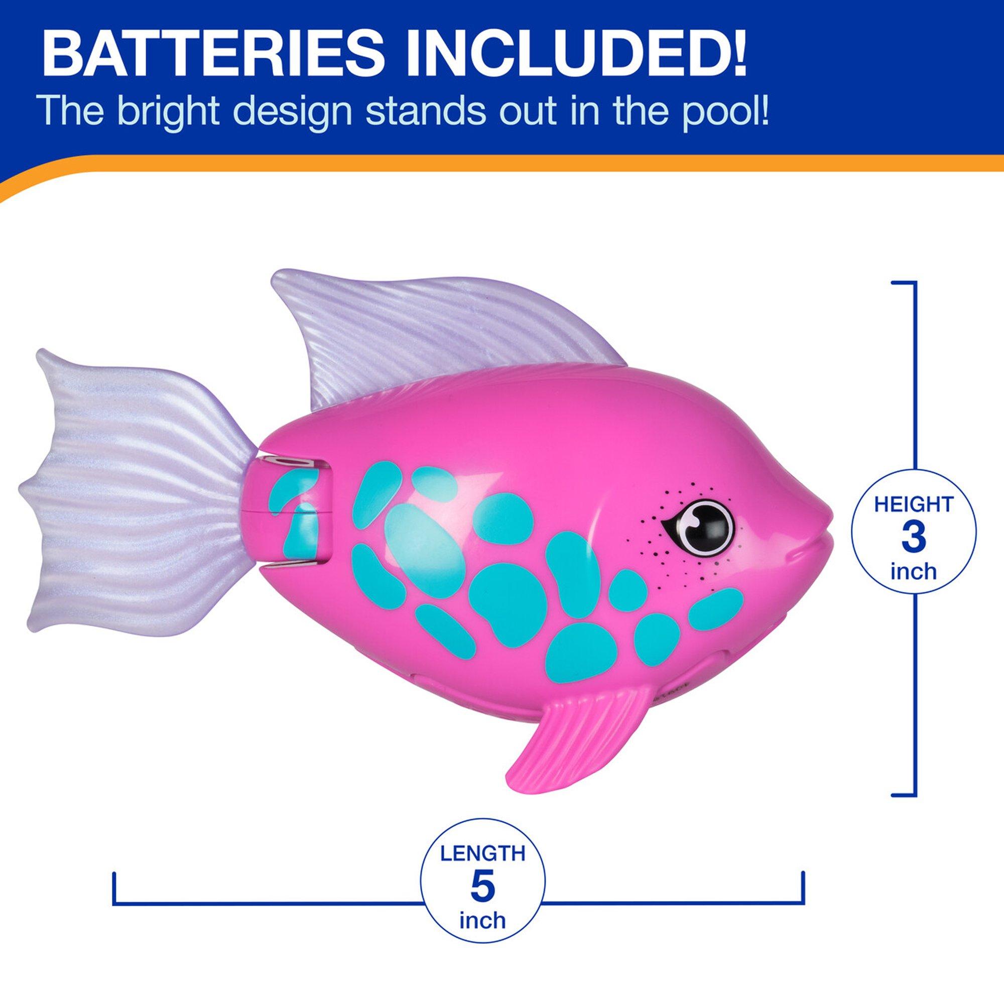 Rainbow Reef - Tuna Turner