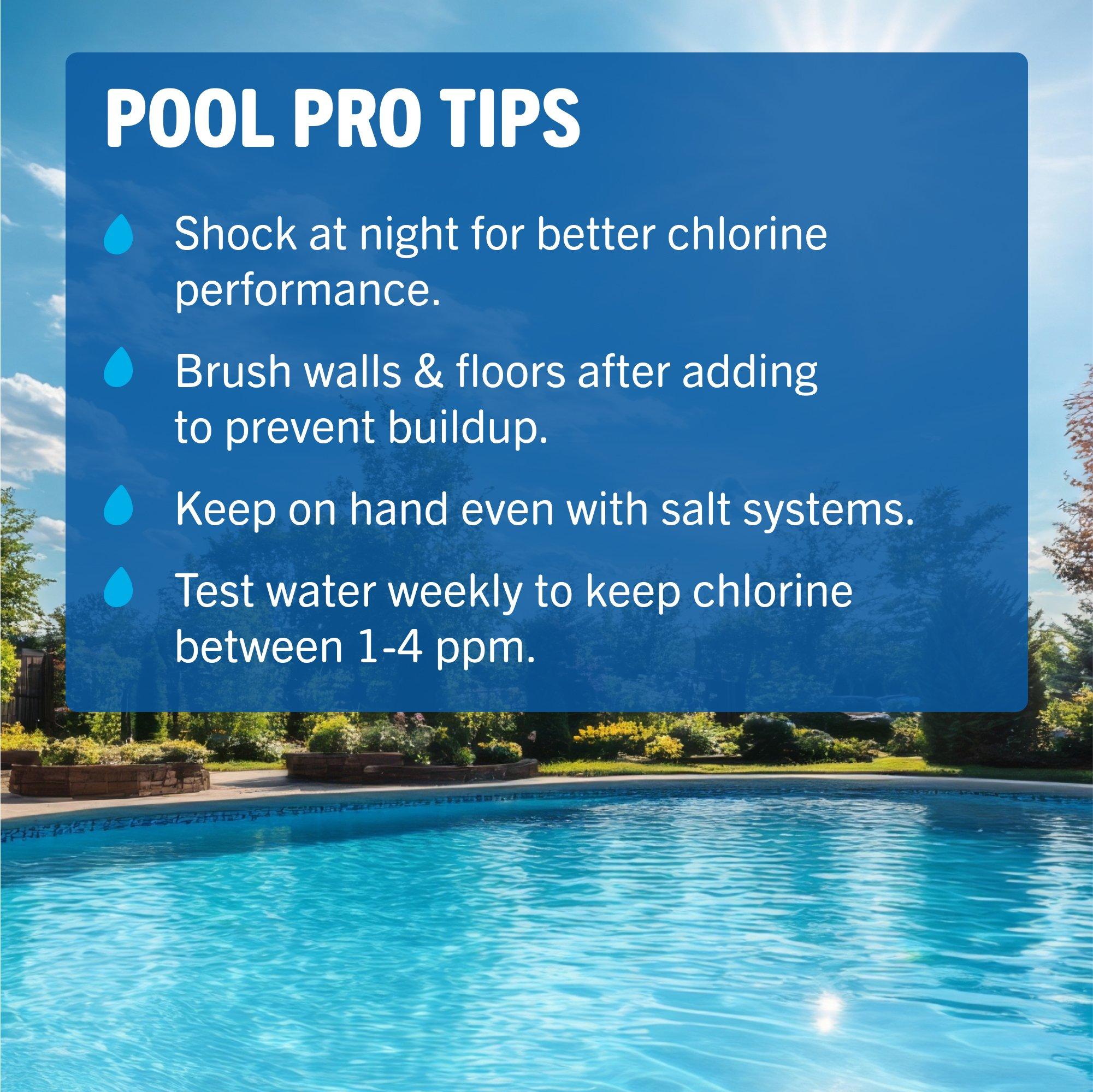 Chlor Brite Sodium Dichlor Granular Chlorine Pool Shock, 1 lb. Bag