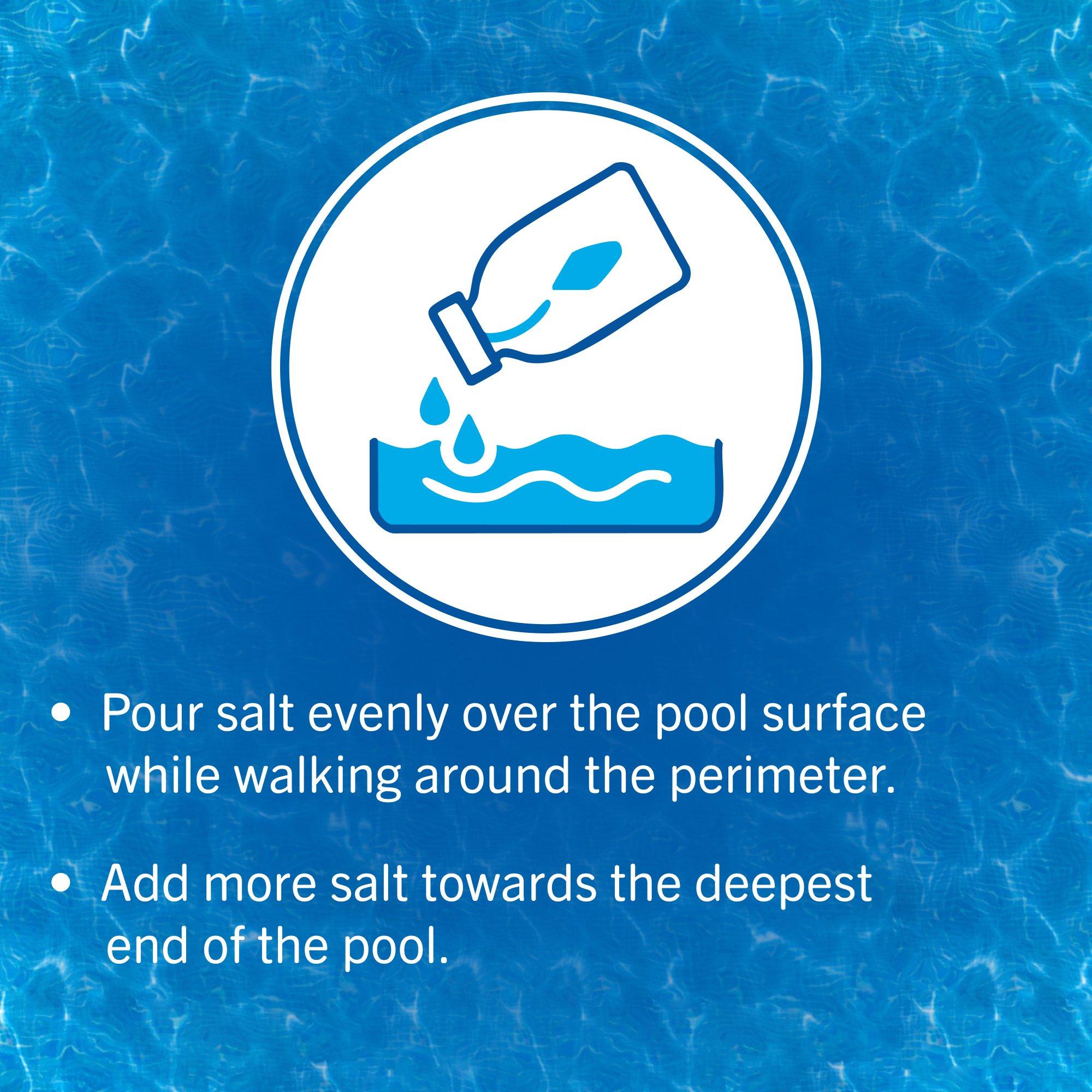 Leslie's  Pool Salt 40 lbs