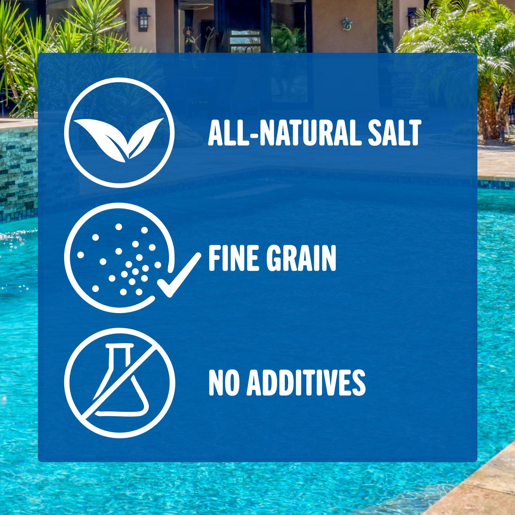 Leslie's  Pool Salt 40 lbs