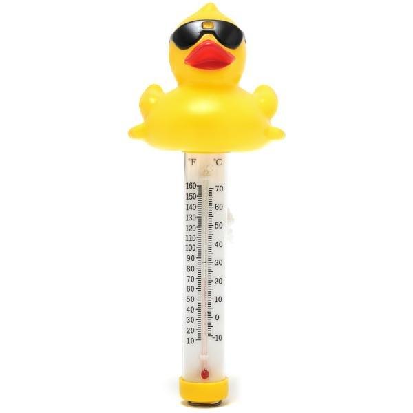 Game Derby Duck Pool and Spa Thermometer Leslie's Pool Supplies