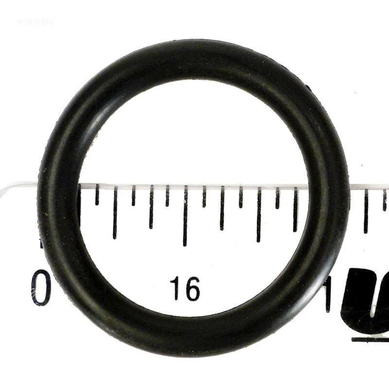 Hayward - Knob O-Ring for Star-Clear Plus