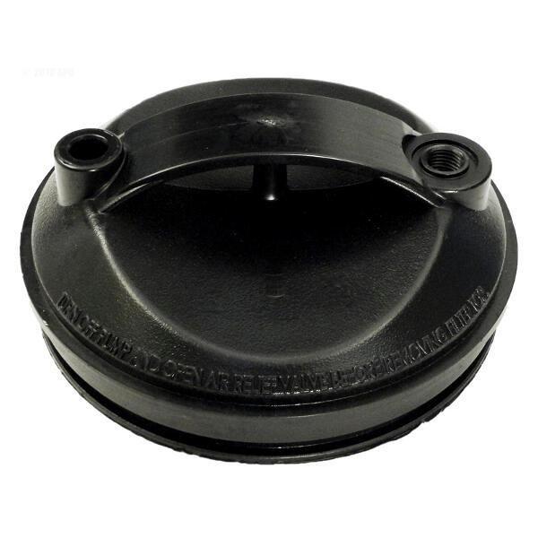 Waterway  Lid Filter
