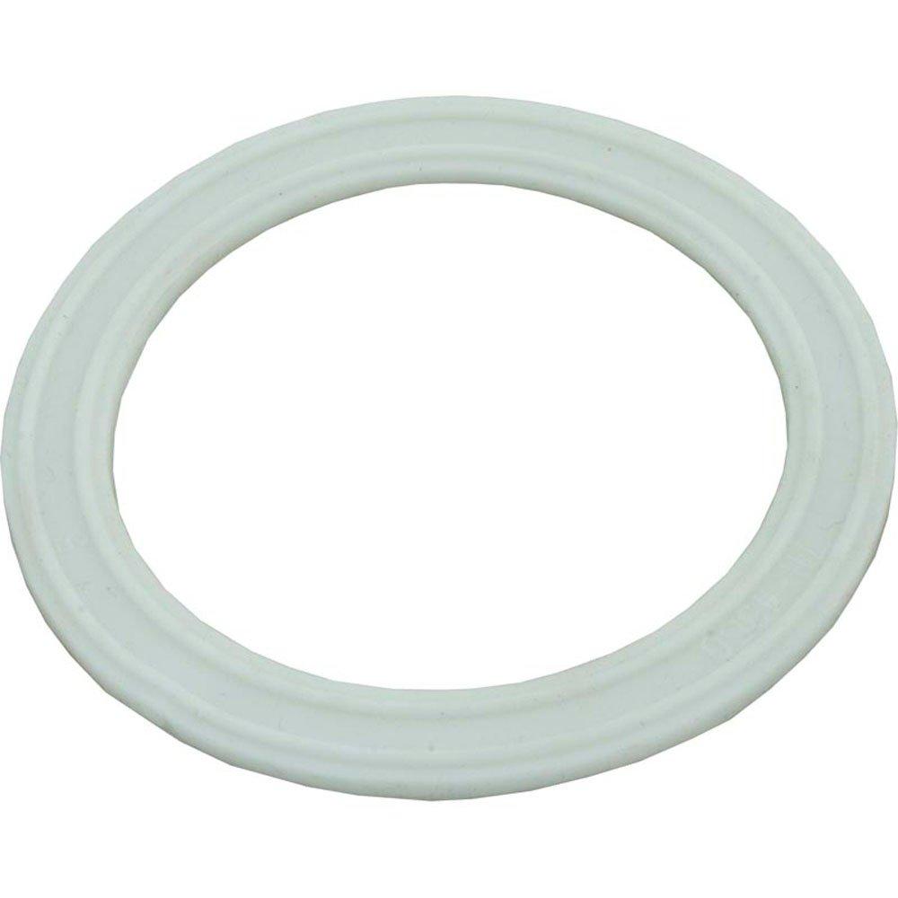 Waterway  Gasket Waterway Deluxe Strip Skimmer Wall Fitting