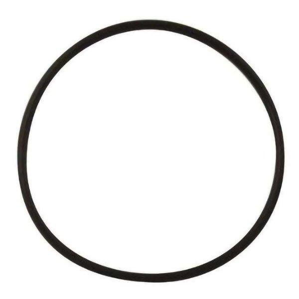 Hayward  Hair  Lint Trap Basket O-Ring Jacuzzi Magnum Pump Series