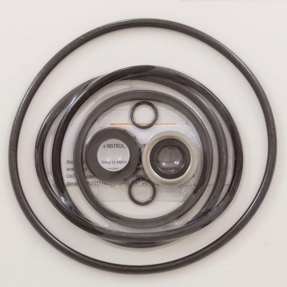 All Seals  O-Ring Kit Pentair SuperFlo Pump Rebuild Kit