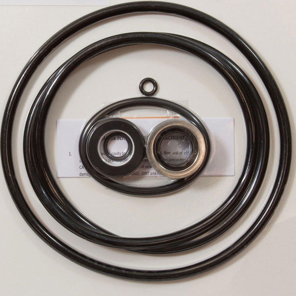 All Seals  O-Ring Kit Sta-Rite Max-E-Pro Pump Rebuild Kit