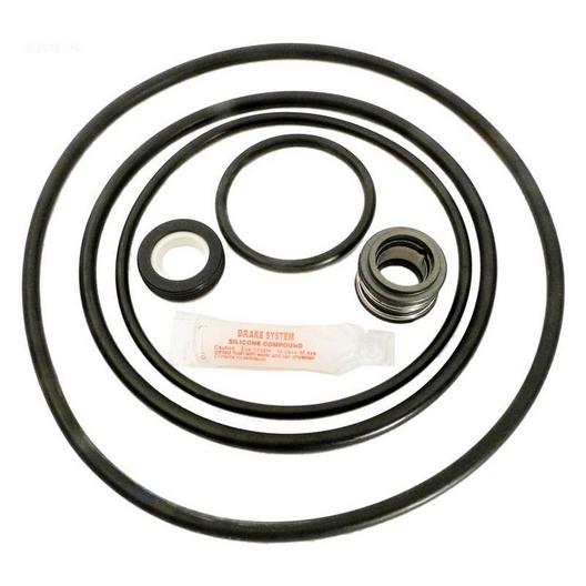 Epp  Sta-Rite DynaGlass and J-Series Pool Pump O-Ring Kit