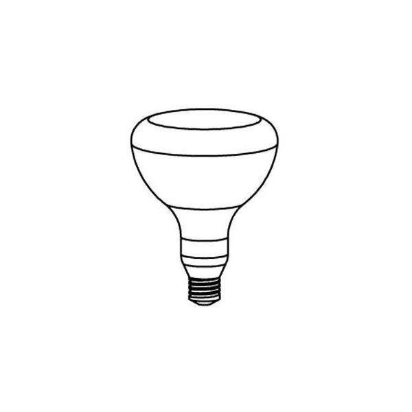 Pentair  Amerlite Replacement Bulb