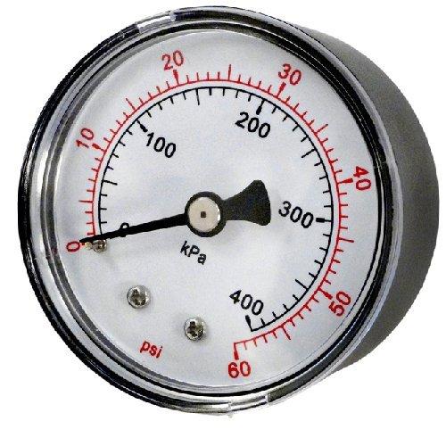 Pentair  Gauge for System 3