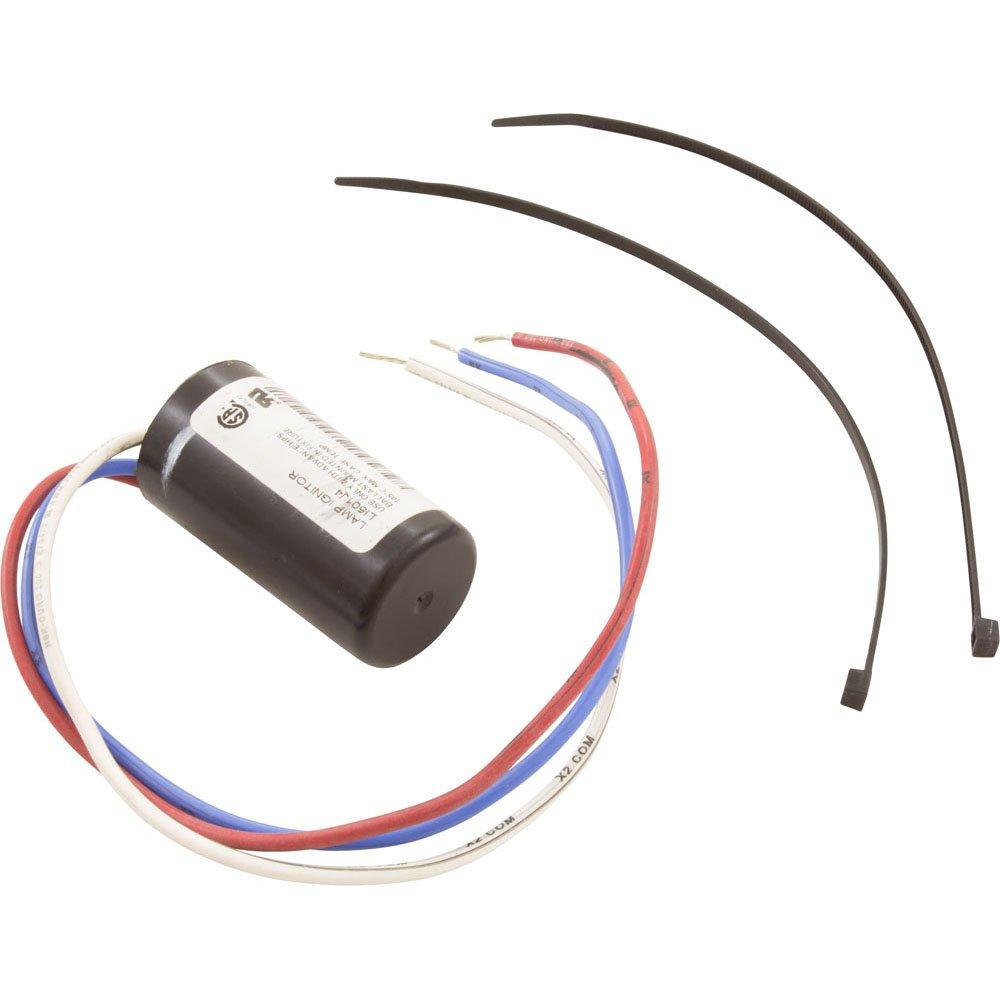 Pentair PG2000 Light Igniter Kit Leslie's Pool Supplies