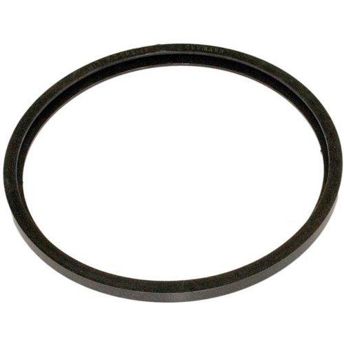 Hayward Pool Light Lens Gasket Leslie's Pool Supplies