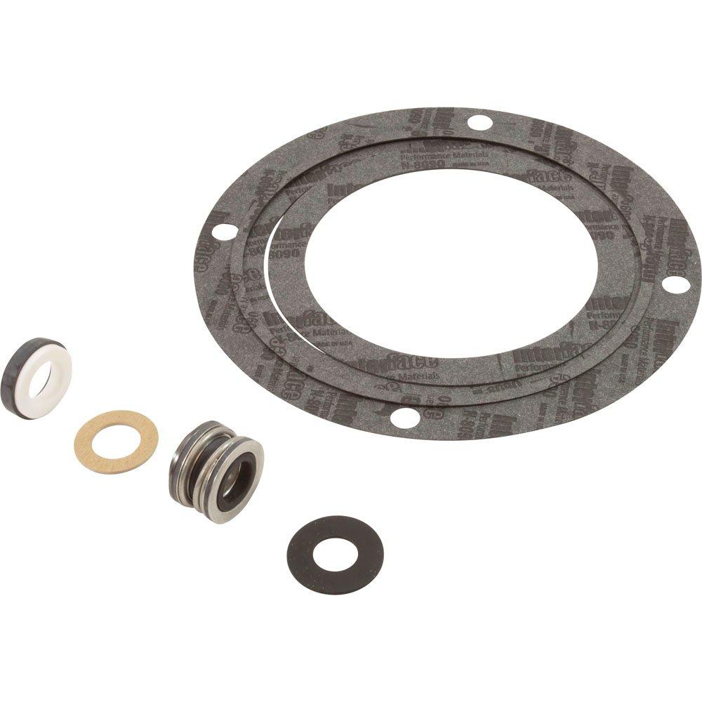 Seal and Gasket Replacement Kit