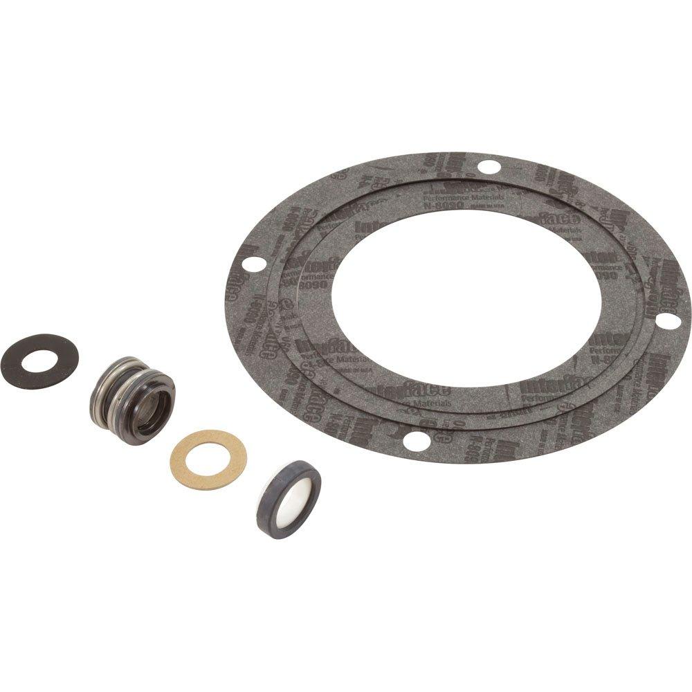 Pentair  Seal and Gasket Replacement Kit