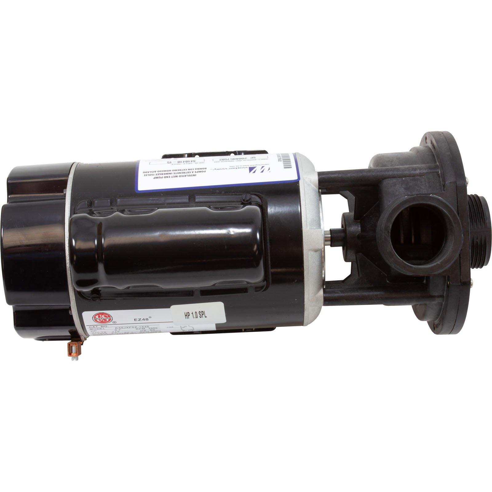 Waterway  Center Discharge 48-Frame 1HP Single-Speed Spa Pump 115V