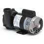 Executive 56-Frame 3HP Dual-Speed Spa Pump, 2-1/2in. Intake, 2in. Discharge, 230V