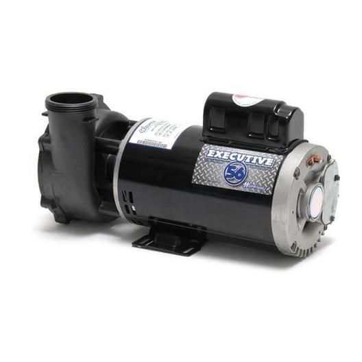 Waterway  Executive 56-Frame 5HP Dual-Speed Spa Pump 2-1/2in Intake 2in Discharge 230V