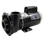 Waterway  Executive 56-Frame 5HP Dual-Speed Spa Pump 2-1/2in Intake 2in Discharge 230V