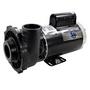Executive 56-Frame 5HP Dual-Speed Spa Pump, 2-1/2in. Intake, 2in. Discharge, 230V
