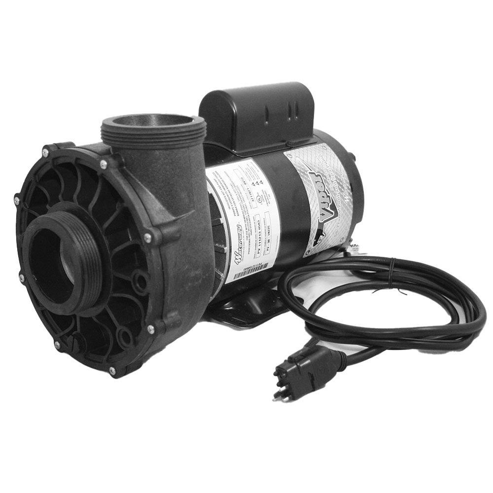 Waterway  Viper 56-Frame 3 HP Dual-Speed Spa Pump  2 1/2