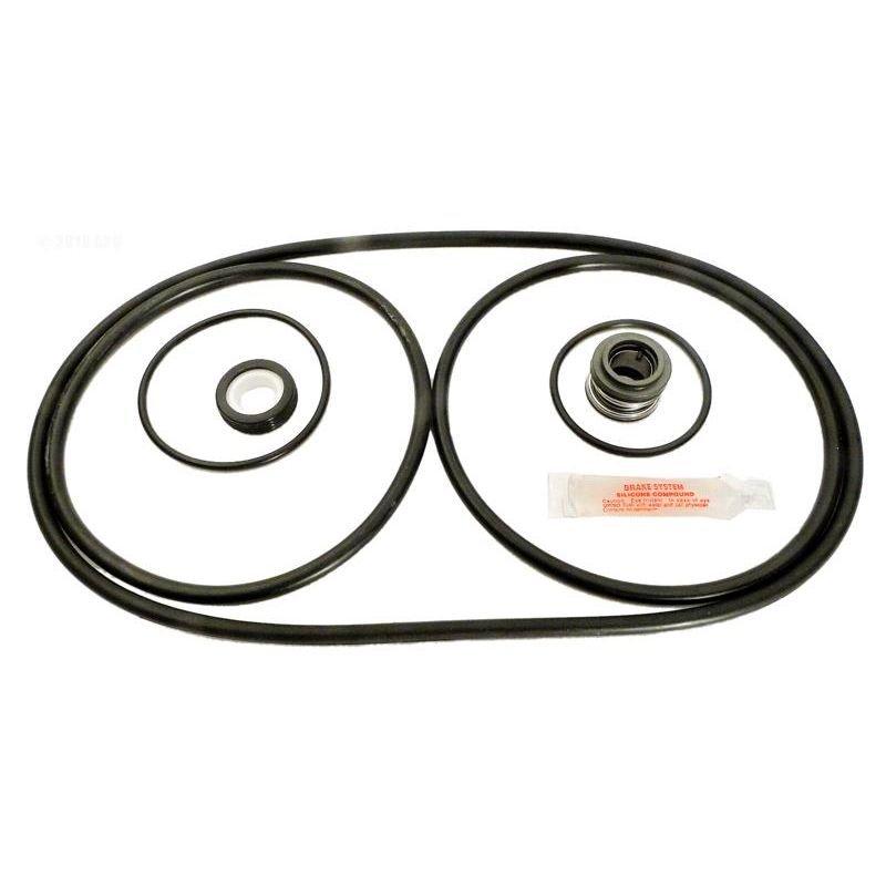 K1046 Pentair PacFab Challenger Pool Pump GoKit5 Oring Kit Leslie