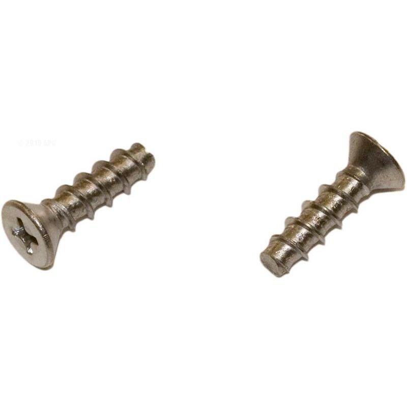 Hayward - Screw, Face Plate (Set of 2)