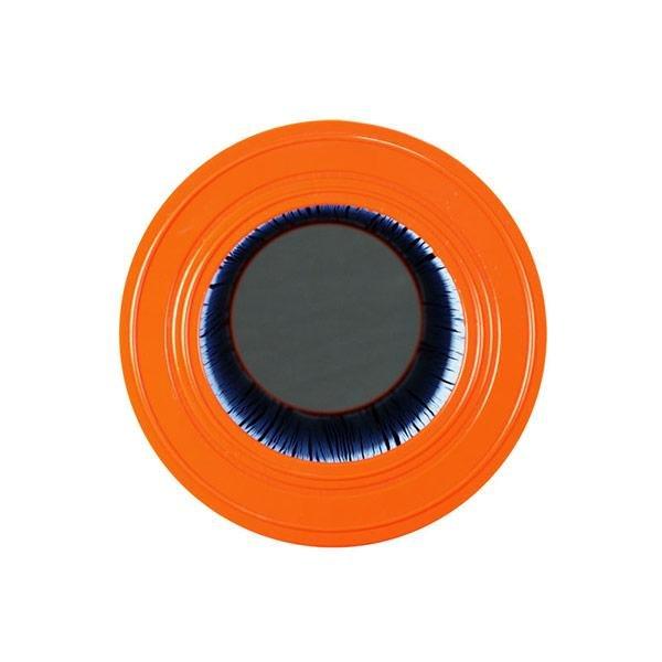 PWWEK200M Filter Cartridge for Waterway EcoKleer 200 (Antimicrobial)