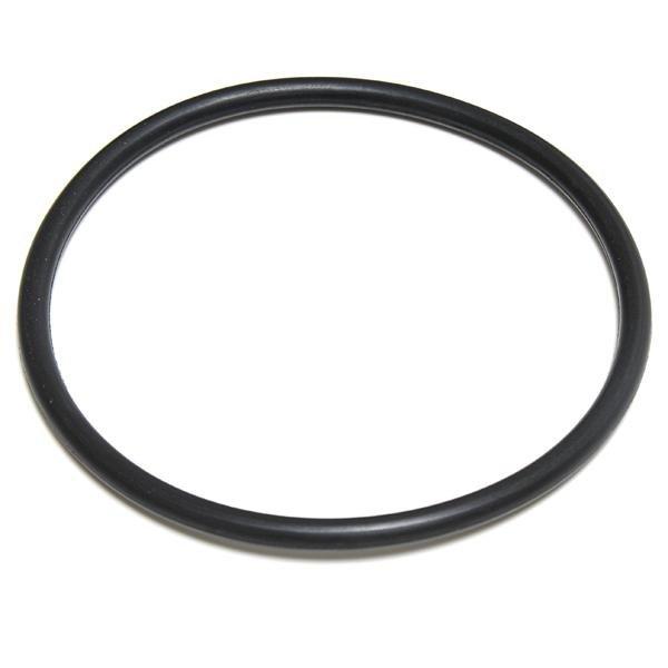 Aladdin Equipment Co  O-Ring Lid Chlorinator
