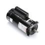 56C C-Face 1-1/2 HP Single Speed Full Rated Pool Filter Motor, 19.4/9.7A 115/230V