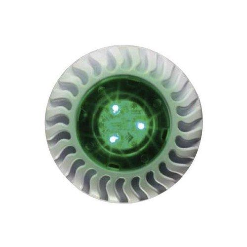 Pentair  602054 GloBrite LED Pool Light with 50 Cord 12V