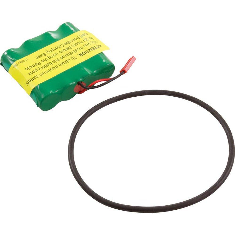 Polaris - Sol 1000 Replacement Remote Batteries w/O-ring and Gaskets