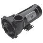 Waterway Executive 48-Frame 2HP Single-Speed Spa Pump, 2in. Intake, 2in. Discharge, 115/230V