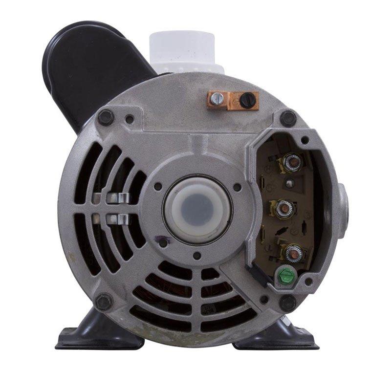 Gecko  FMCP Pump 1-1/2 HP 2-Speed 115 Volts