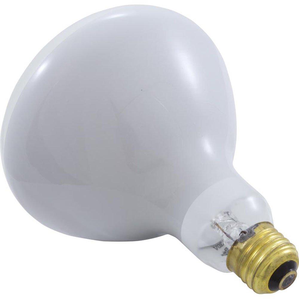 Bulb, 120V 300W Flood