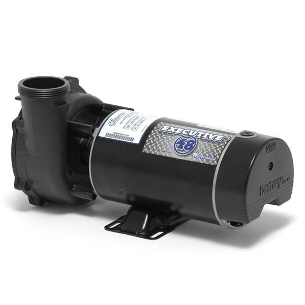 Waterway  Executive 48-Frame 2HP Dual-Speed Spa Pump 2-1/2in Intake 2in Discharge 230V